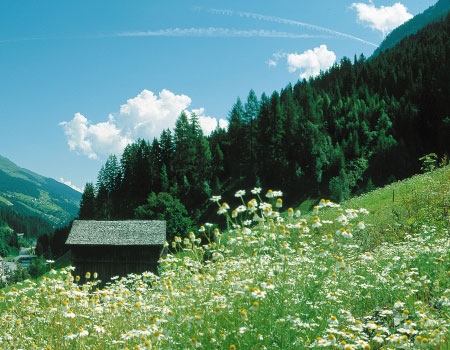 sommer wandern kappl familienurlaub im paznaun